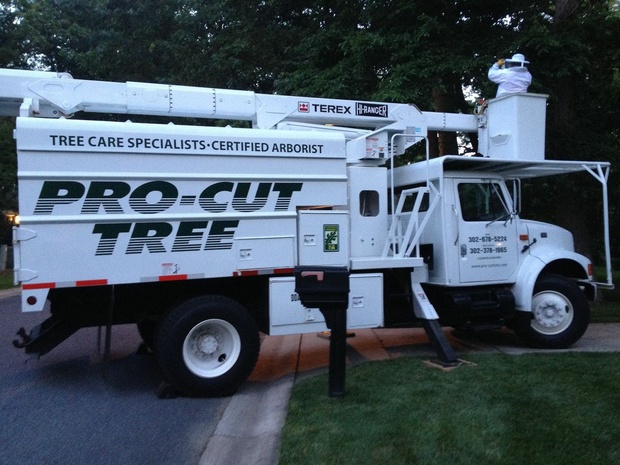 pro-cut tree truck