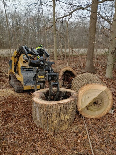 machine getting ready to pick up log